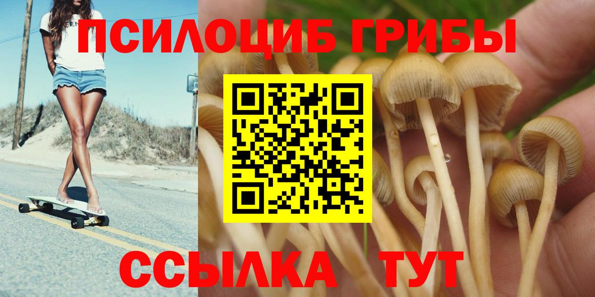 Псилоцибиновые грибы Cubensis Усолье-Сибирское