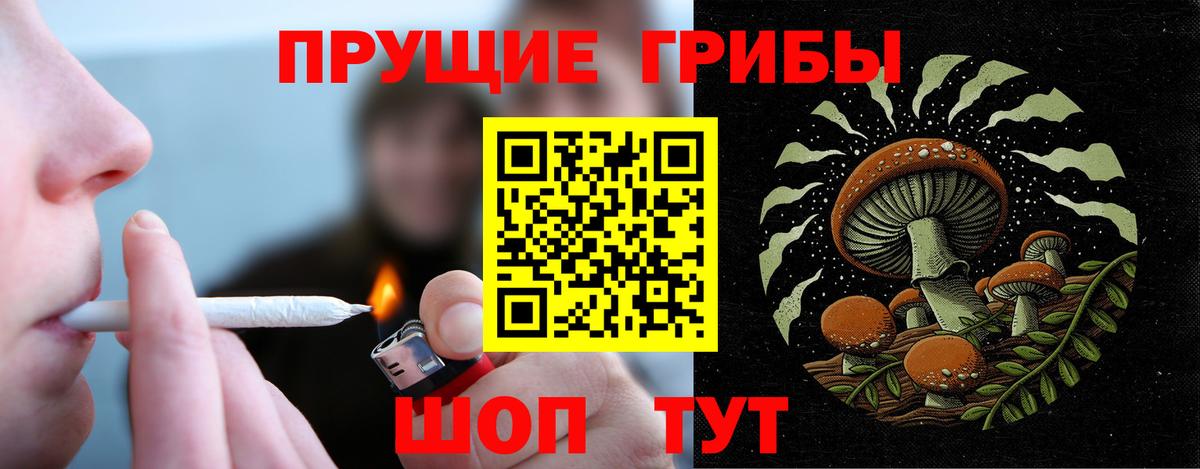Псилоцибиновые грибы прущие грибы  Вход с VPN  Псилоцибиновые грибы мухоморы  Усолье-Сибирское 